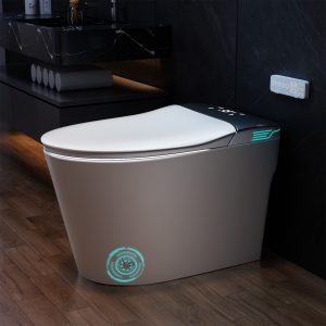 Smart Toilet with Bidet Built In ADA Height 17.7", One Piece Bidet Toilet with Heated Seat, Voice Control, Foam Shield, 1.28GPF